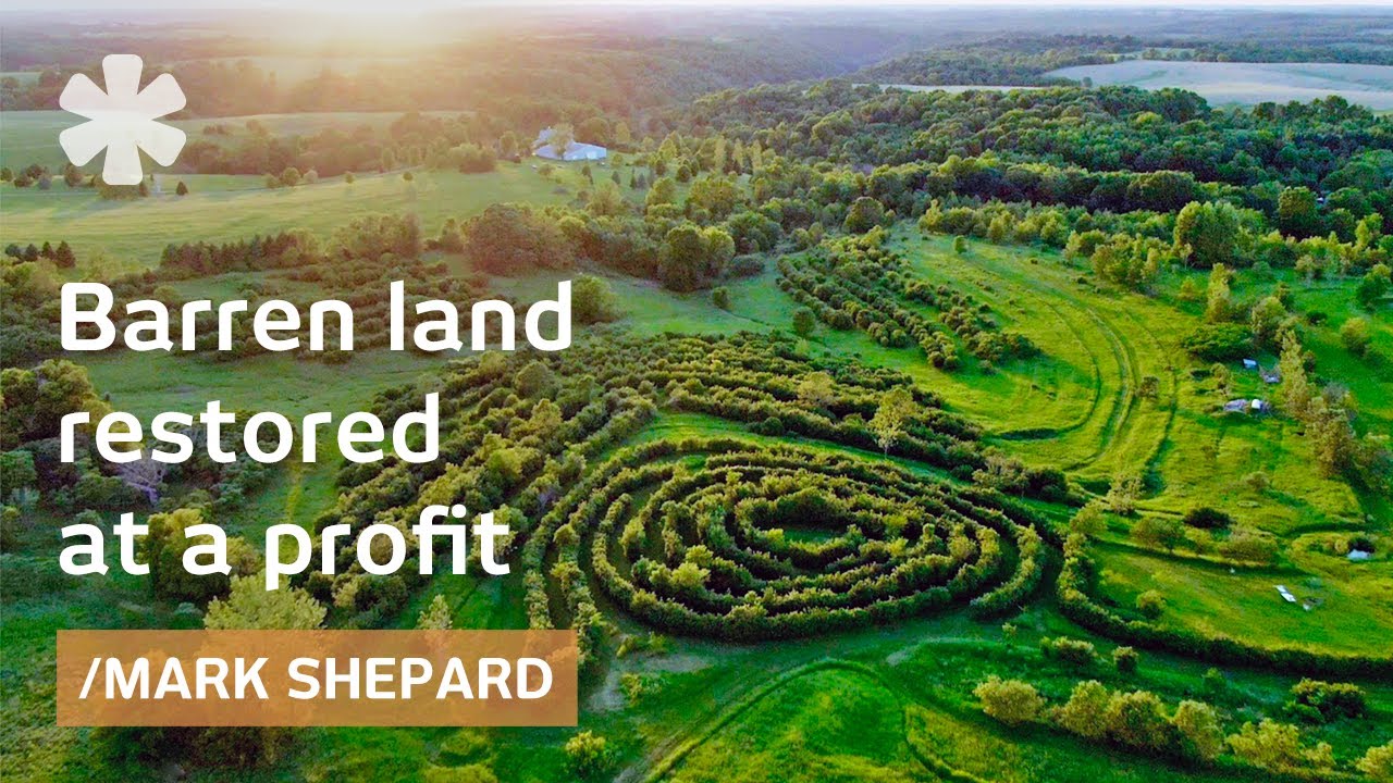 Homestead Paradise: got barren land, boosted it at a profit