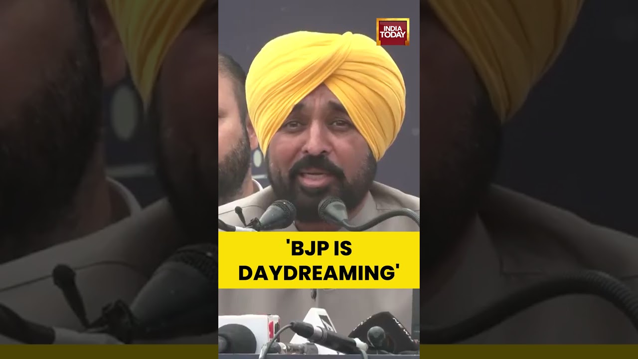 Punjab CM Bhagwant Mann Slams BJP  | Raghav Chadha | AAP | Rajya Sabha MPs
