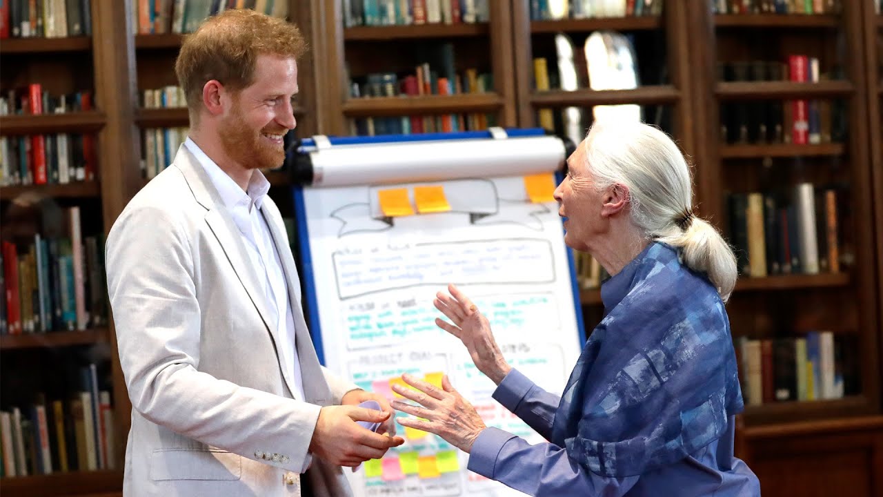 Why Prince Harry Is Finding Post-Royal Life CHALLENGING!