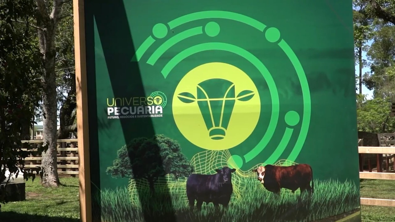 Websérie Universo Pecuária Episódio 2: Desenvolvimento Econômico e Geração de Empregos
