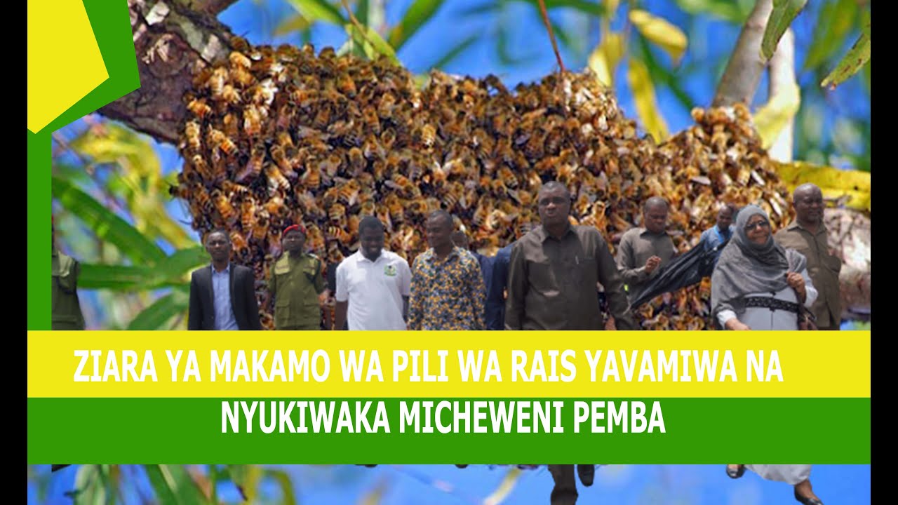Ziara ya Makamo wa Pili yashambuliwa na Nyuki wakali Micheweni Pemba