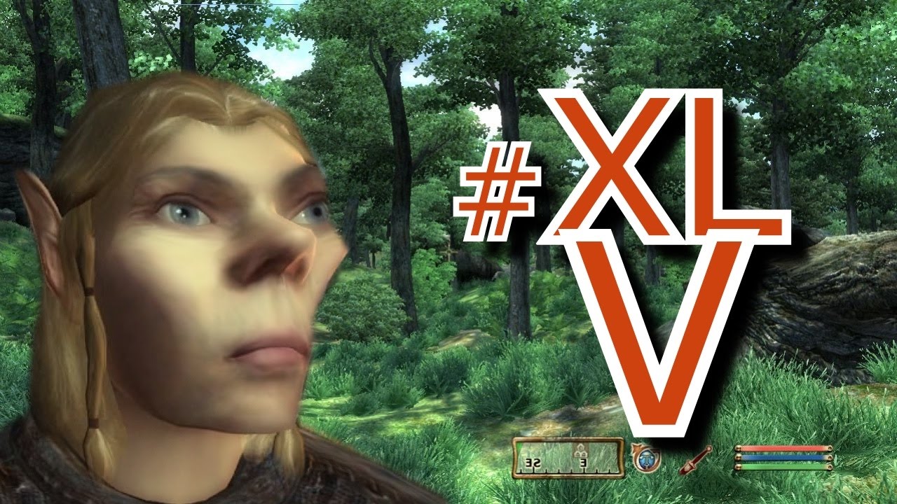 Les PNJ stressés - TESIV Oblivion #45 - Benzaie Live