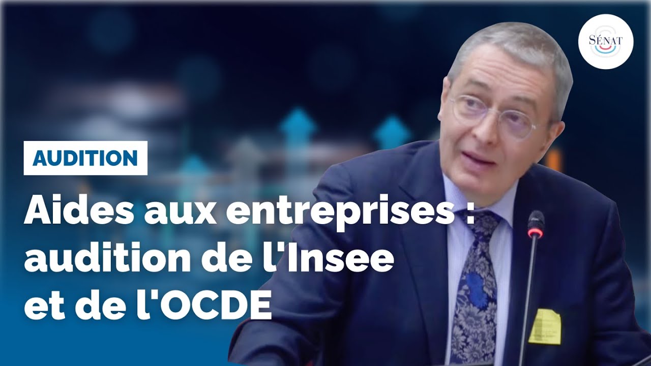 Aides aux entreprises : audition de l'Insee
