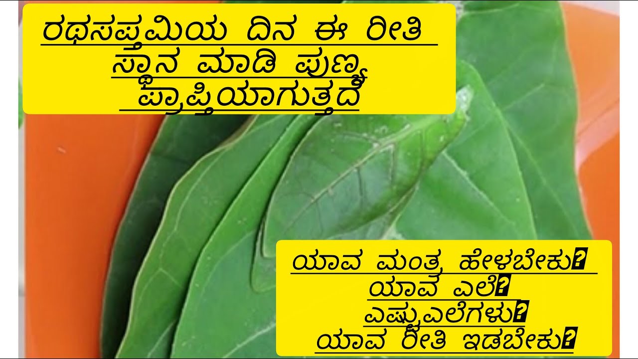 #ರಥಸಪ್ತಮಿಯy ದಿನ ಎಷ್ಟು ಎಕ್ಕದ ಎಲೆ ಇಟ್ಟು ಕೊಳ್ಳಬೇಕು