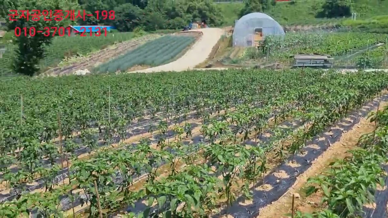 197.  괴산군청 인근 저평가된 토지