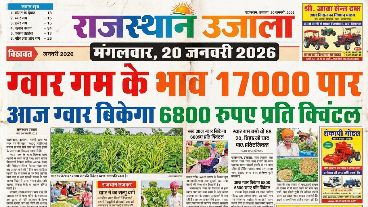 राजस्थान ग्वार मंडी भाव/ग्वार के भाव आज के/आज ग्वार में कितनी आई तेजी देखें भाव/ग्वार का भाव /#ग्वार