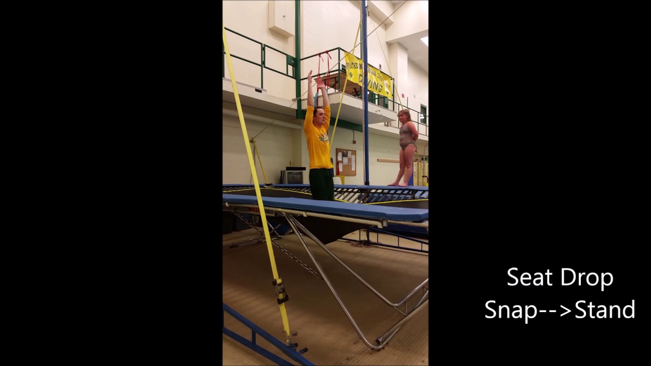 Springboard Diving Dryland Basics