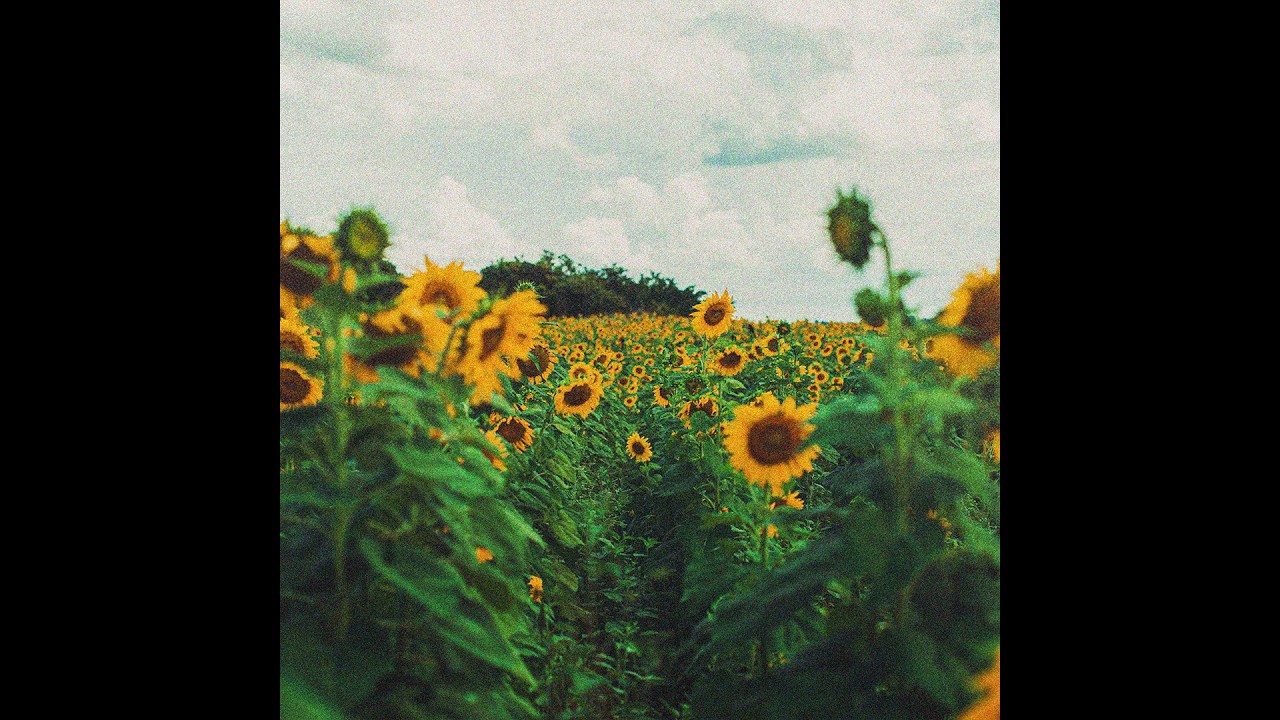 (FREE) Chill Boom Bap Type Beat | 