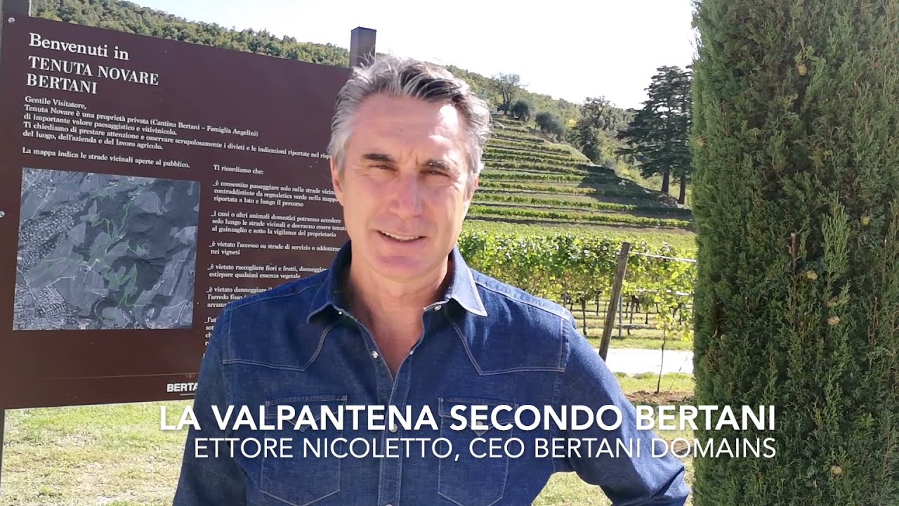 BERTANI DOMAINS: la nuova linea dei vini Valpolicella Valpantena nelle parole di Ettore Nicoletto