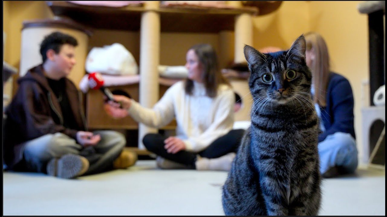 Vorweihnachtlicher Besuch im Tierheim Osttirol