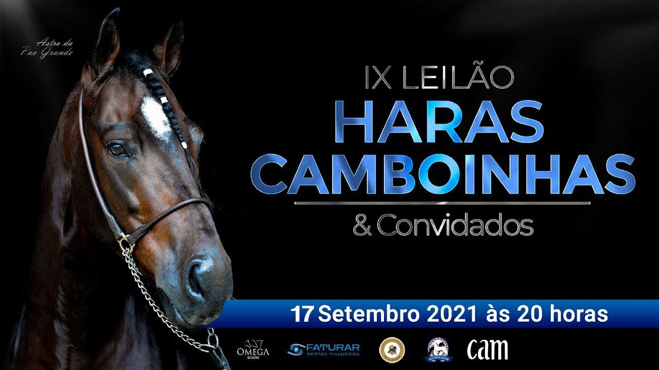 IX LEILÃO HARAS CAMBOINHAS & CONVIDADOS