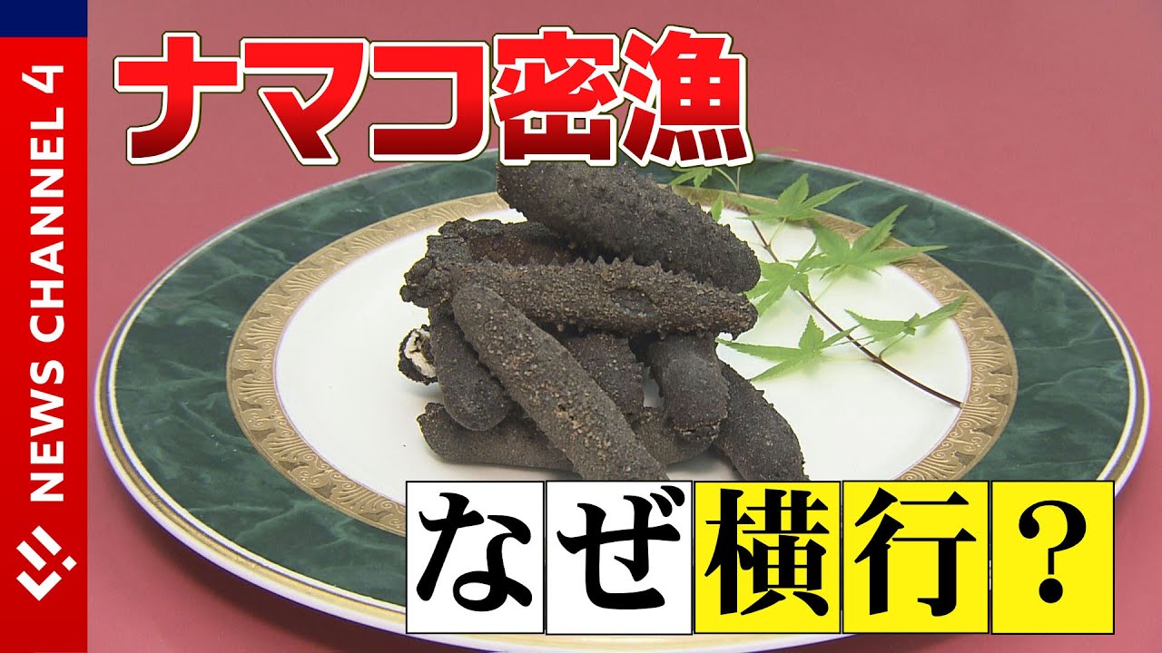 【28時間逃走】ナマコ密漁で５人逮捕、ナゼ？？＜NEWS CH.4＞
