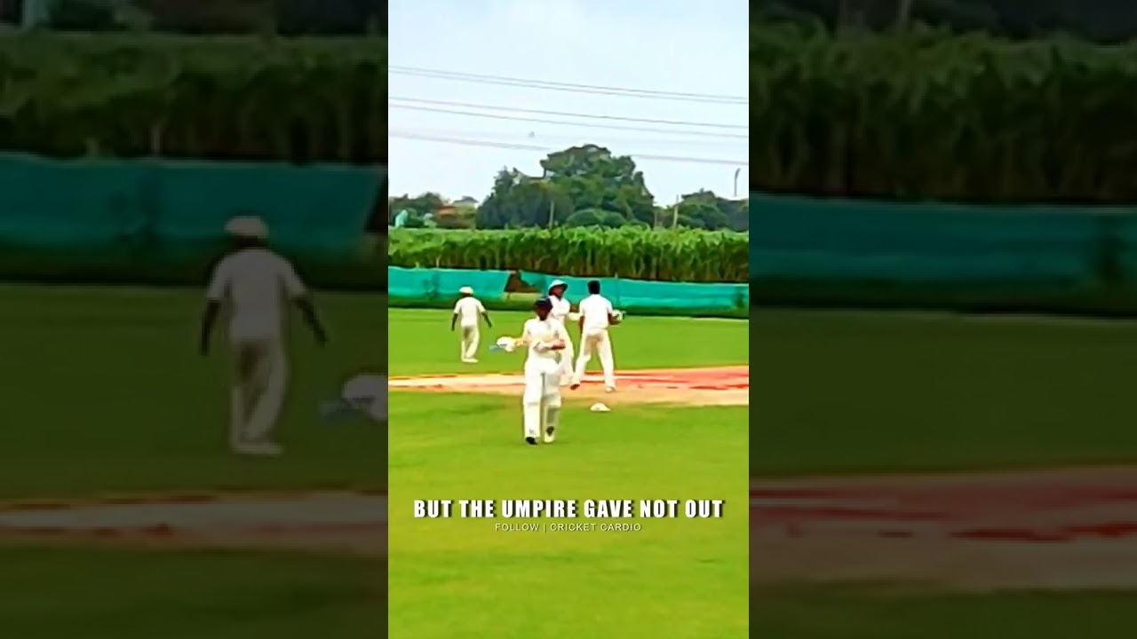 Never cheat in the SPORT you LOVE!🏏❤️ #shorts #cricketcardio