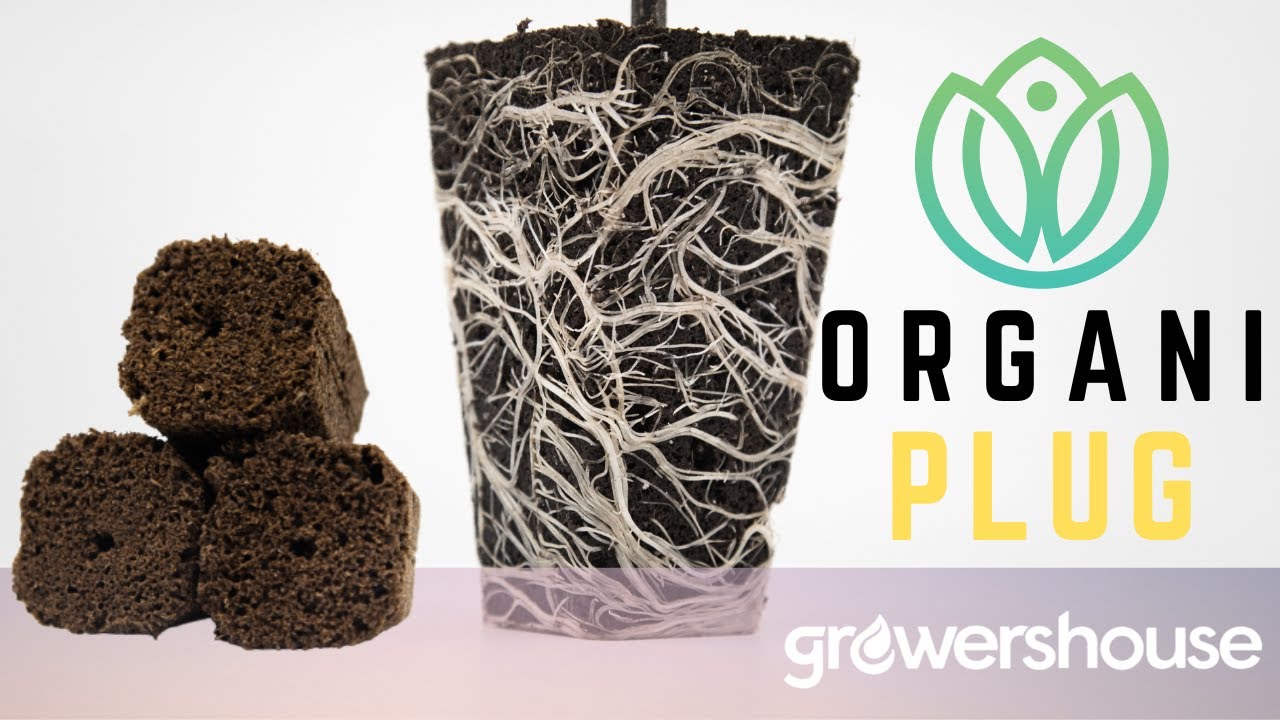 OrganiPlug Seed & Cloning Plug Food Safe, OMRI Ingredients, Compostable