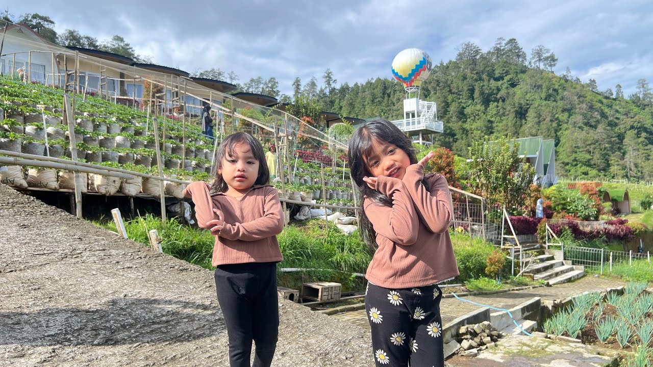 D’LAWU BISTRO TAWANGMANGU LAGI !!!!