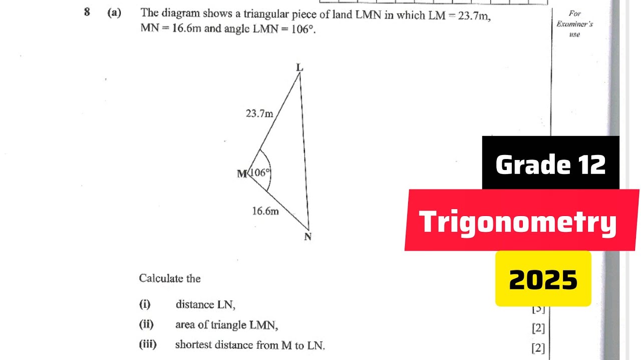 Cosine Calculations EXPLAINED 😱 | Grade 12 Trigonometry Paper 2 2025 FULL MARKS 📐🔥