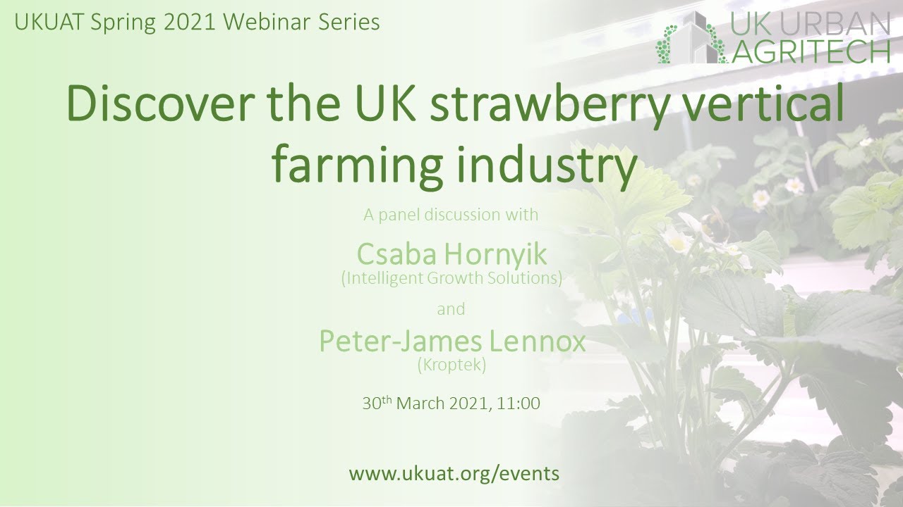 Discover the UK strawberry vertical farming industry
