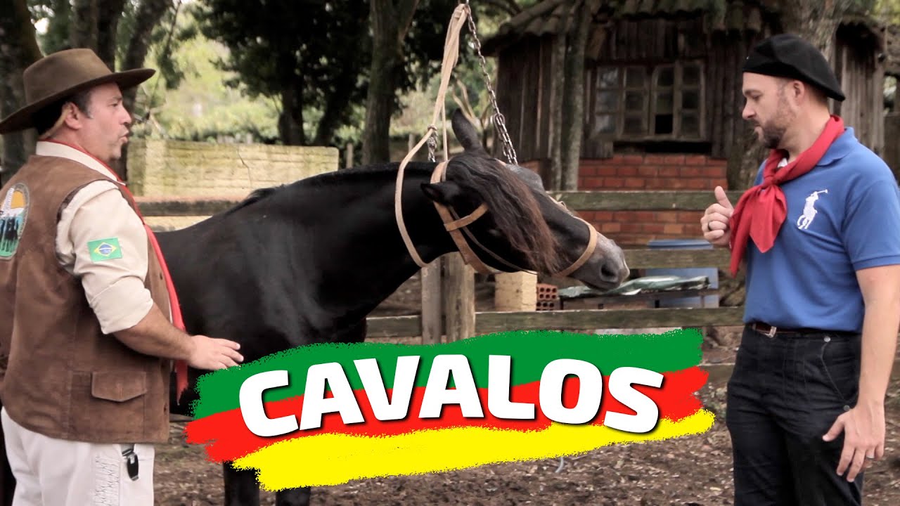 Cavalos - Mês Farroupilha
