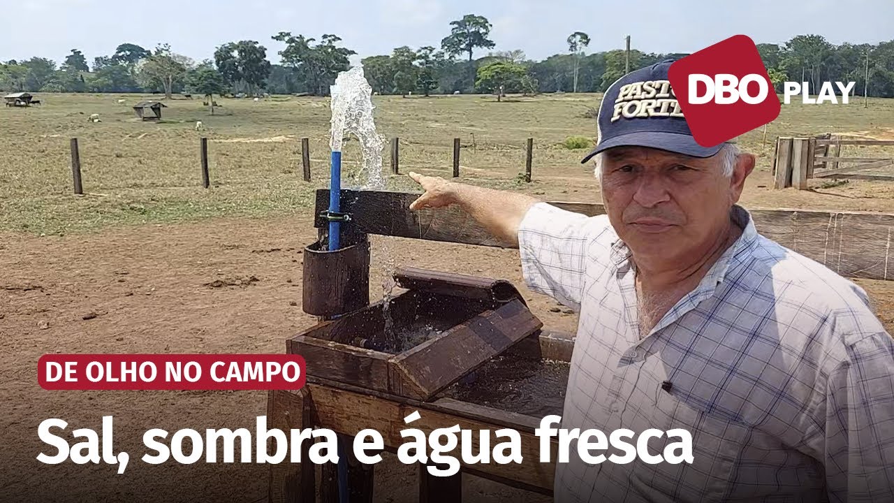 Buscando maior produtividade na pecuária de corte, fazenda investe em praça de alimentação