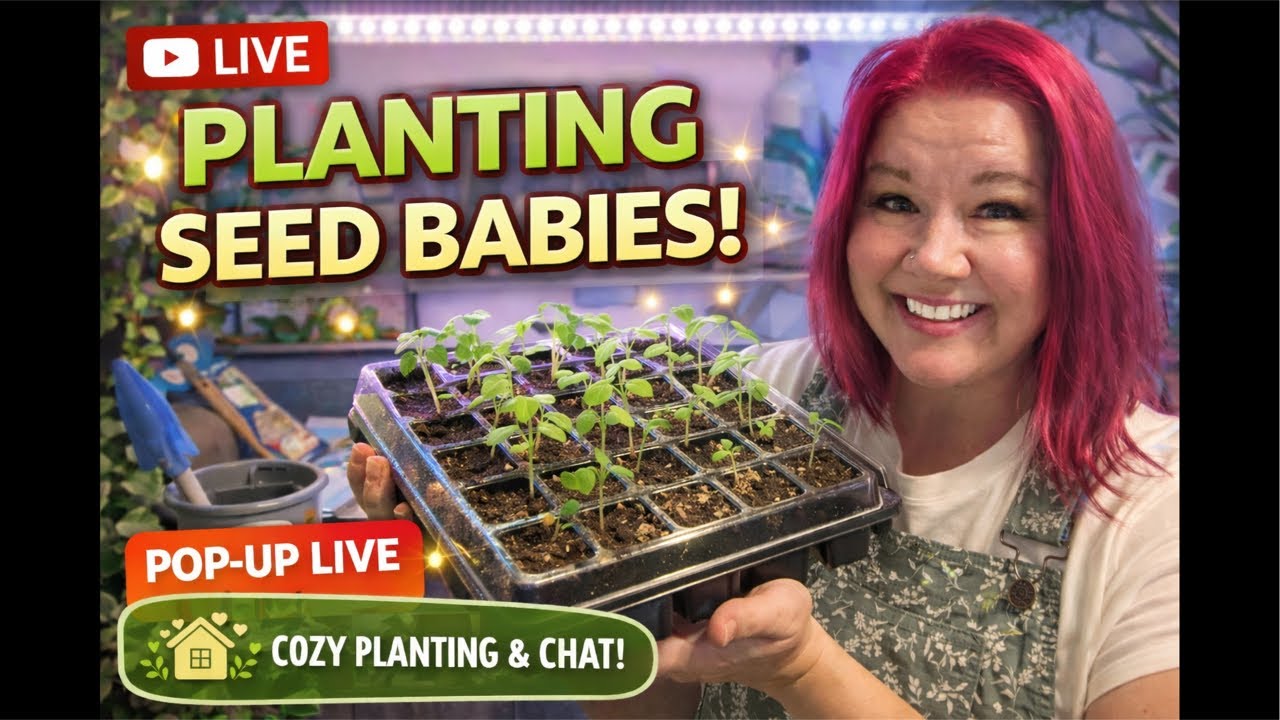 POP-UP LIVE 🌿 Planting Seed Babies Indoors | Cozy Garden Chat & Grow With Me