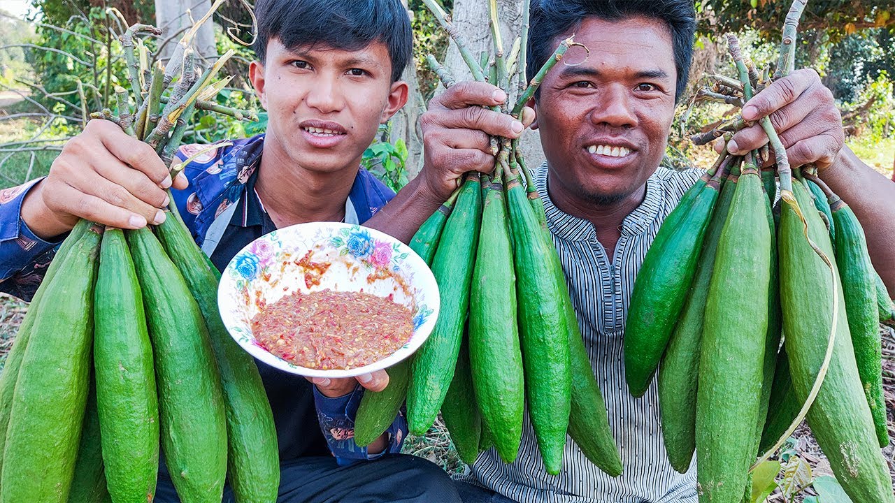 Climbing Kapok Fruit Tree & Harvesting For Eating With Spicy Fish Paste Recipe in my Village