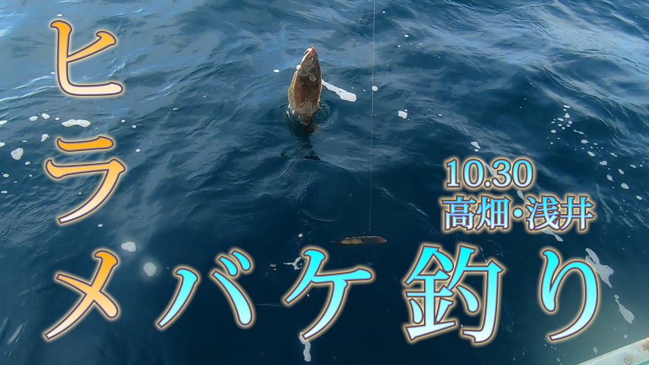 10.30 ヒラメバケ釣り