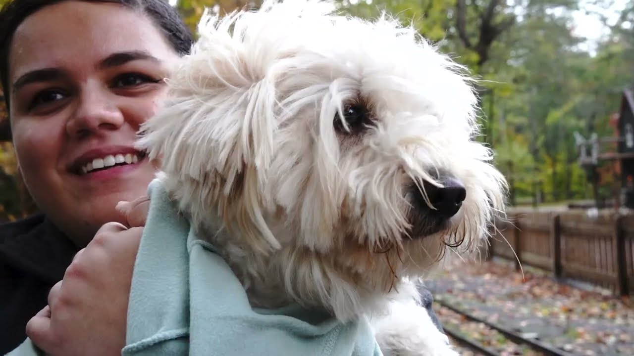 Ralphy's Knoebels Halloween Adventure