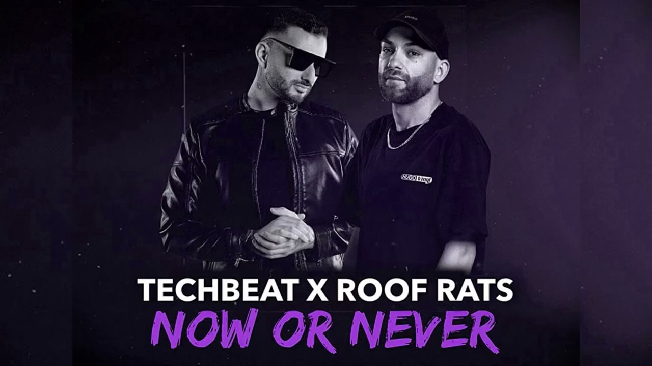 Techbeat X Roof Rats - Now Or Never ( Tom Novy )
