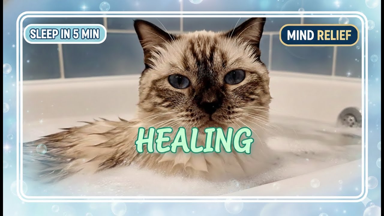 (10 Hours) Don't Play This Unless You Want to Sleep | Secret Spa Healing Music