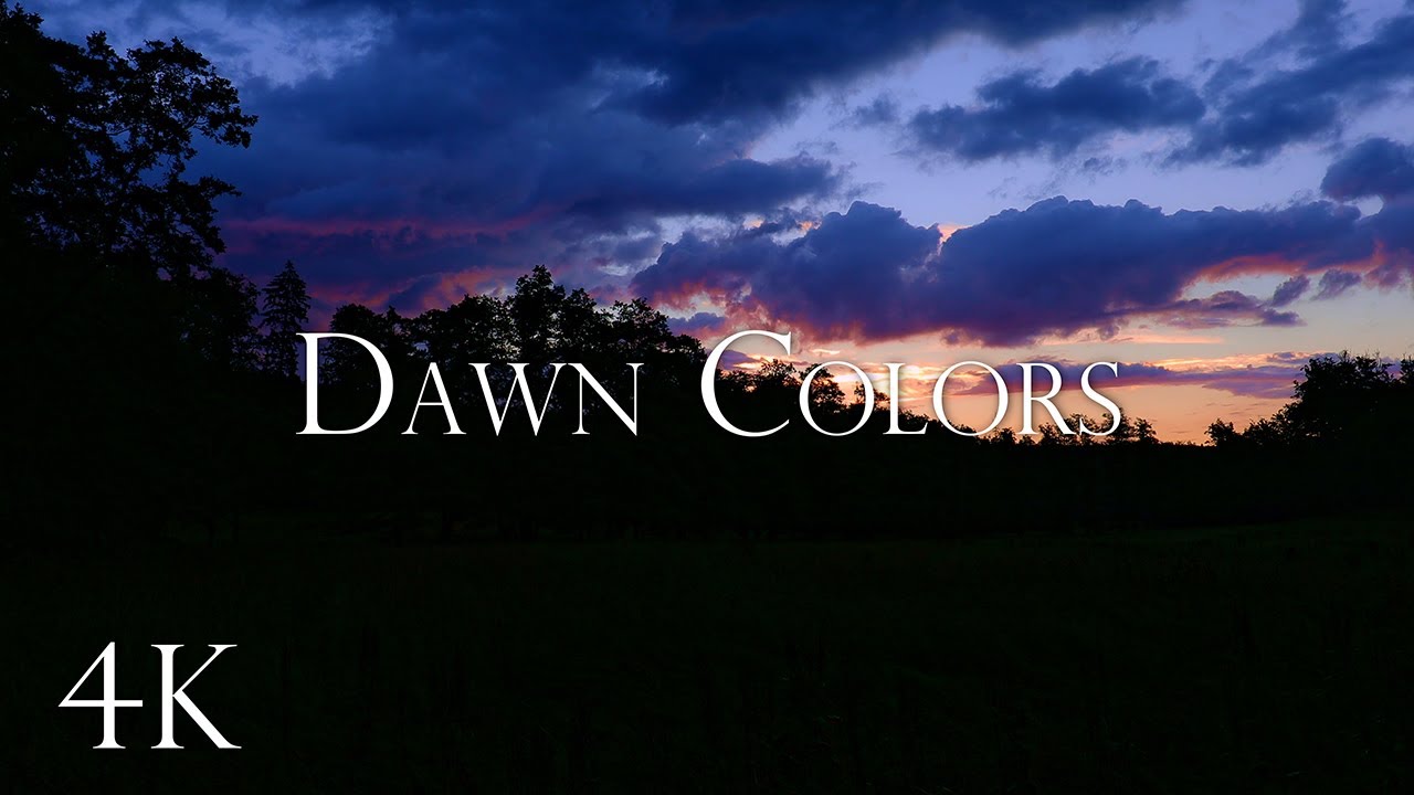 Dawn Colors - Serene Nature at Dawn, Ambience with Birdsong & Nature Sounds, 10 Hours, 4K UHD