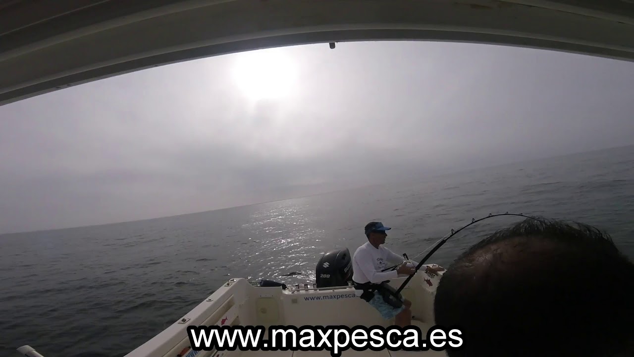 Pesca de atún gigante en Huelva video atun gigante en Huelva
