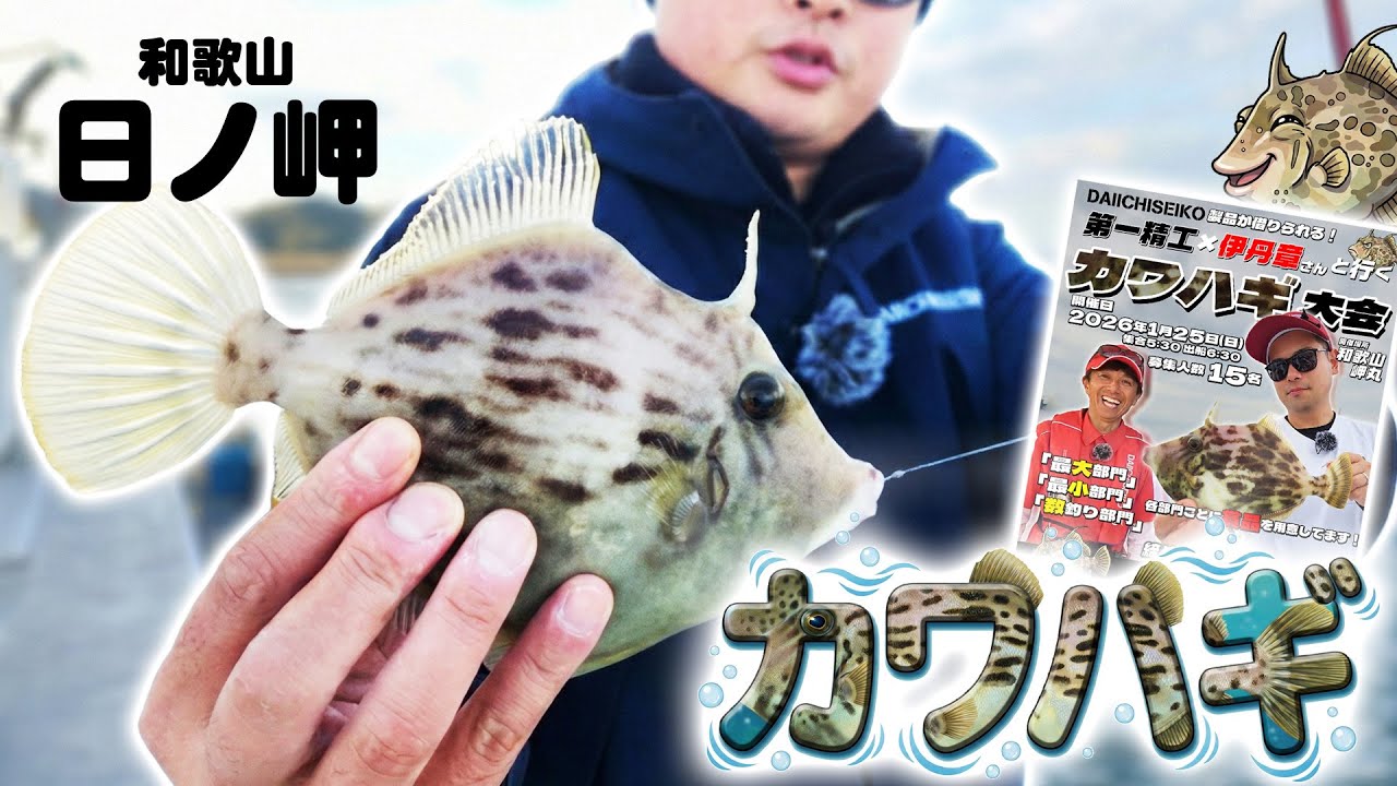 岬丸さんでカワハギ釣りを練習！