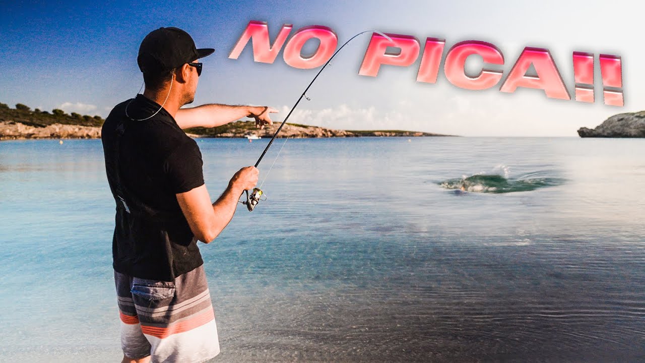 PORQU&Eacute; *NO PICAN* [QU&Eacute; podemos HACER cuando eso sucede]