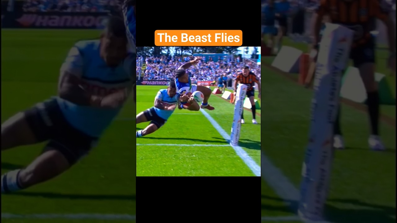 Airborne Marzhew's stuns the Sharks | NRL Highlights, Knights V Sharks, Round 26, 2025 #nrl