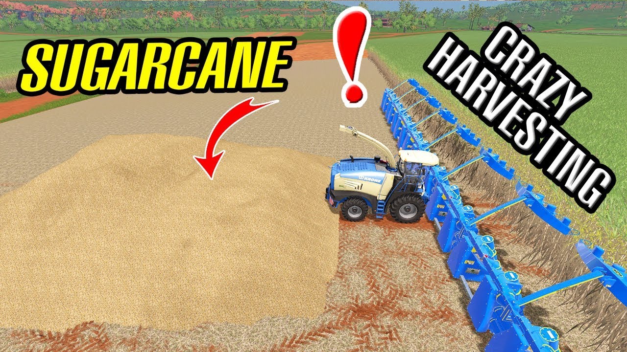 Farming Simulator 17: +1000 Meters Sugarcane Cutter !!! KRONE BigX SugarCane  Harvesters!!