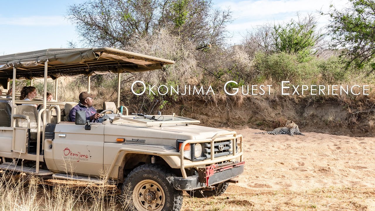 Okonjima Nature Reserve Guest Experience #namibia