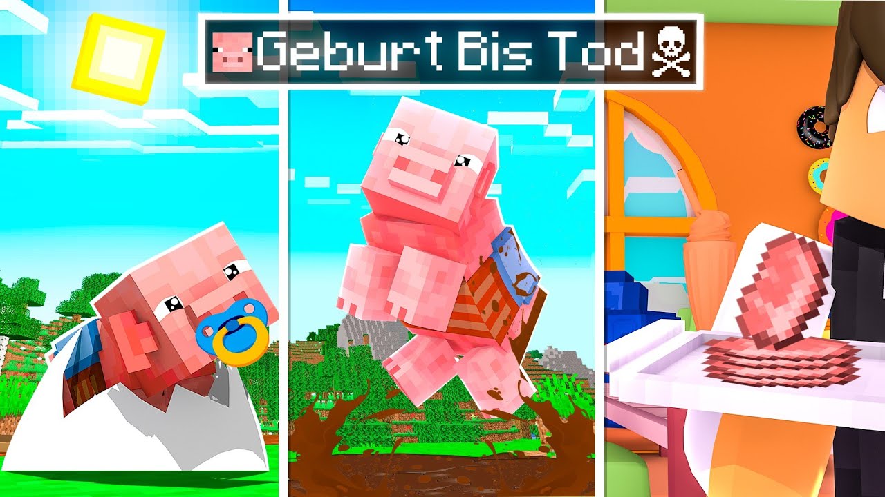 GEBURT bis TOD eines MINECRAFT SCHWEIN ✿ [Deutsch/HD]