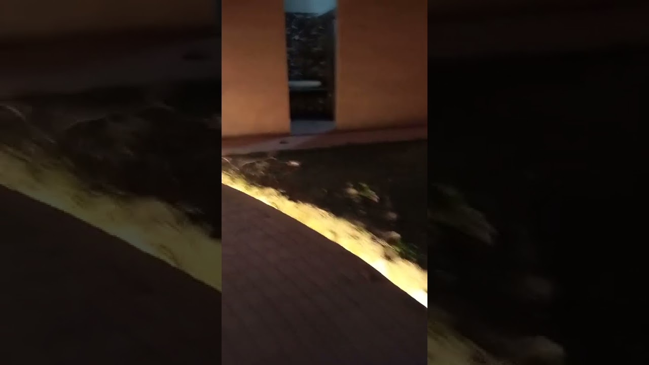 Garden lights
