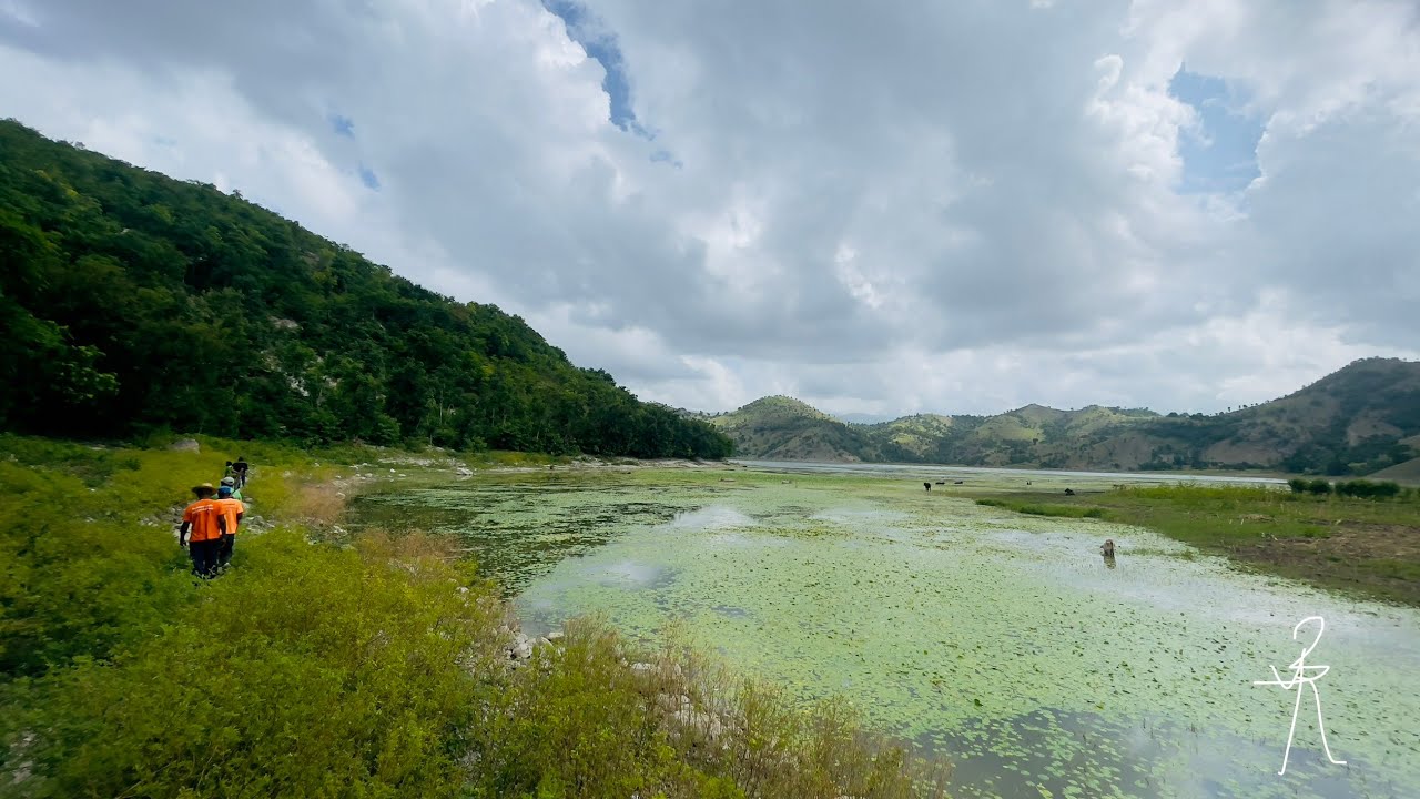 Reboisement Etang Lachaux de Camp-Perrin: 5 ans après quelle différence?