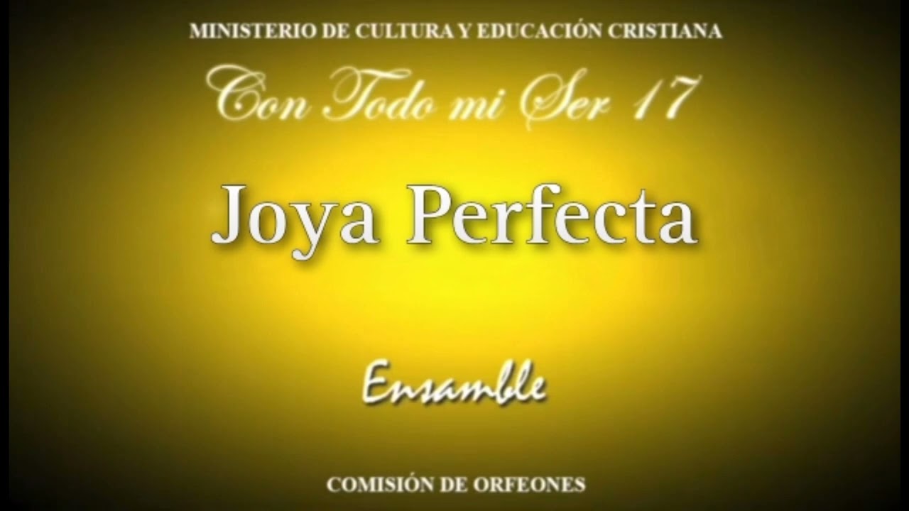 Joya Perfecta Ensamble (Con todo mi Ser 17) Lldm.