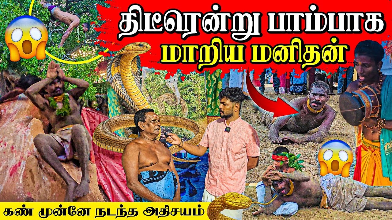 திடீரென பாம்பாக மாறிய மனிதர் | பார்ப்பவர்களை கதி கலங்க வைக்கும் நேரடி காட்சி | Rj Tamizha 