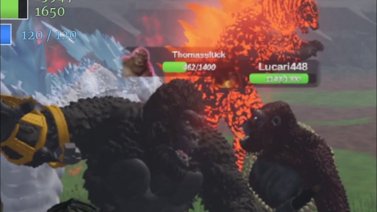 funny fighting