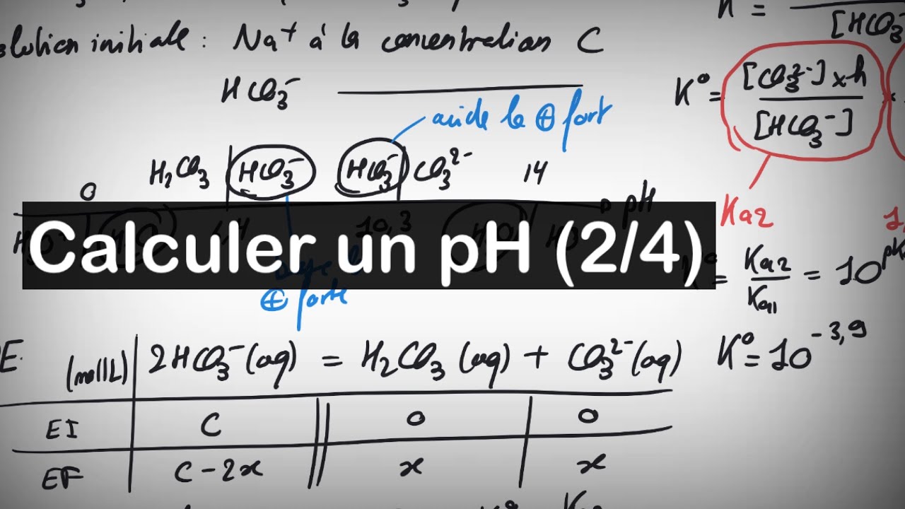 🧑‍🔬 Calculer un pH (2/4) : cas d'un ampholyte