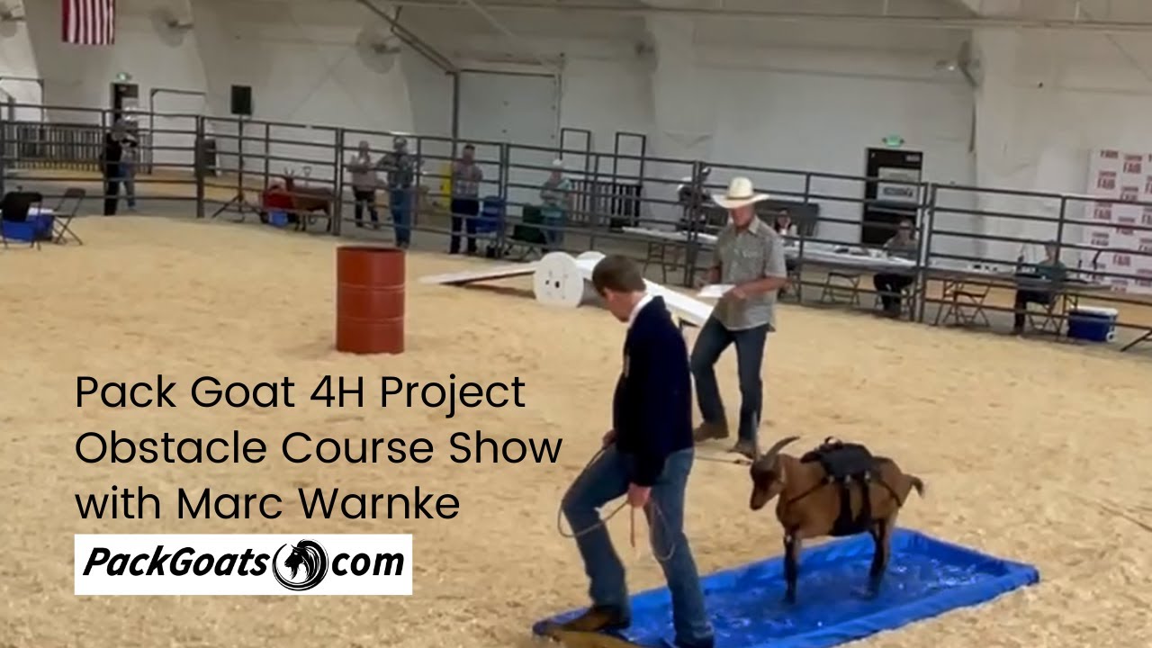 Pack Goat 4H Project Obstacle Show with Marc Warnke Judging