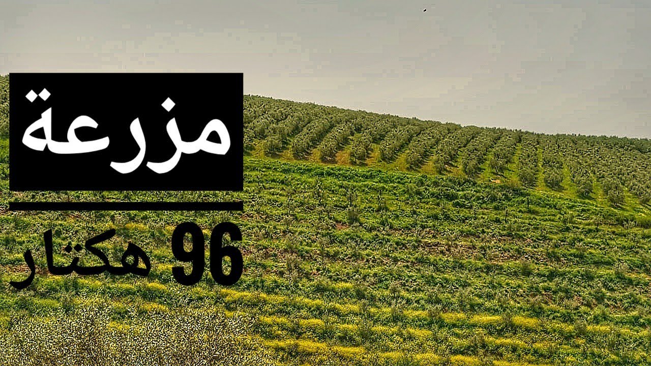 سيدي علال البحراوي كموني مزرعة مجهزة على الطريق كدرون محفظة مساحتها 96 هكتار  212661247058