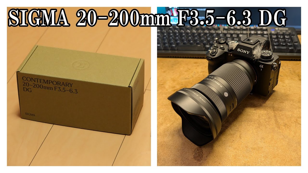 a1II VLOG 03：Sigma 20-200mmが届いたのでナイトフォトウォーク 20251205