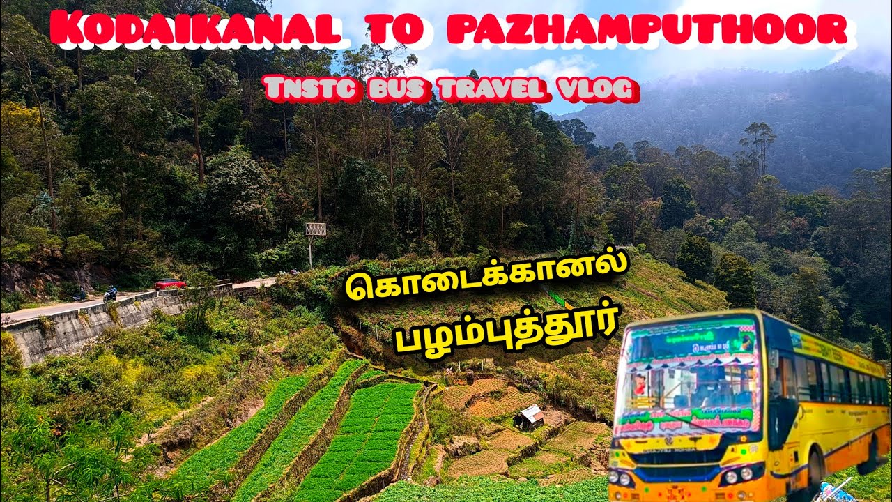 கொடைக்கானல் to பழம்புத்தூர் | KODAIKANAL TO PAZHAMPUTHOOR |  TNSTC | BEAUTIFUL & SCENIC BUS JOURNEY.