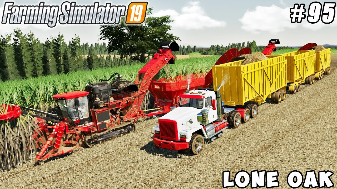 Harvesting and selling sugar cane | Lone Oak Farm | Farming simulator 19 | Timelapse #95
