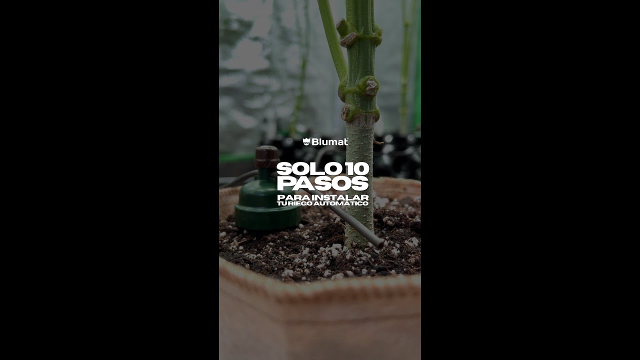 Paso a paso de nuestro riego autom&aacute;tico para cultivo, con el que ahorras tiempo y dinero 🪴
