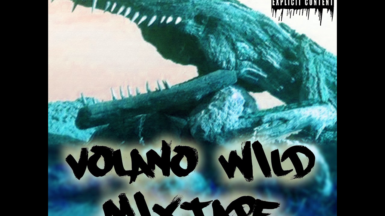 VOLANO WILD - NON MI ROMPERE IL CA##O